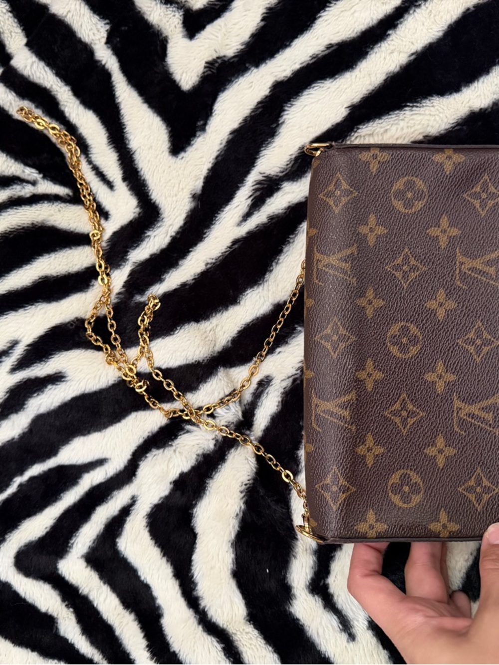 Louis Vuitton Brown Monogram Crossbody Wallet with Gold Chain - Picture 8 of 8